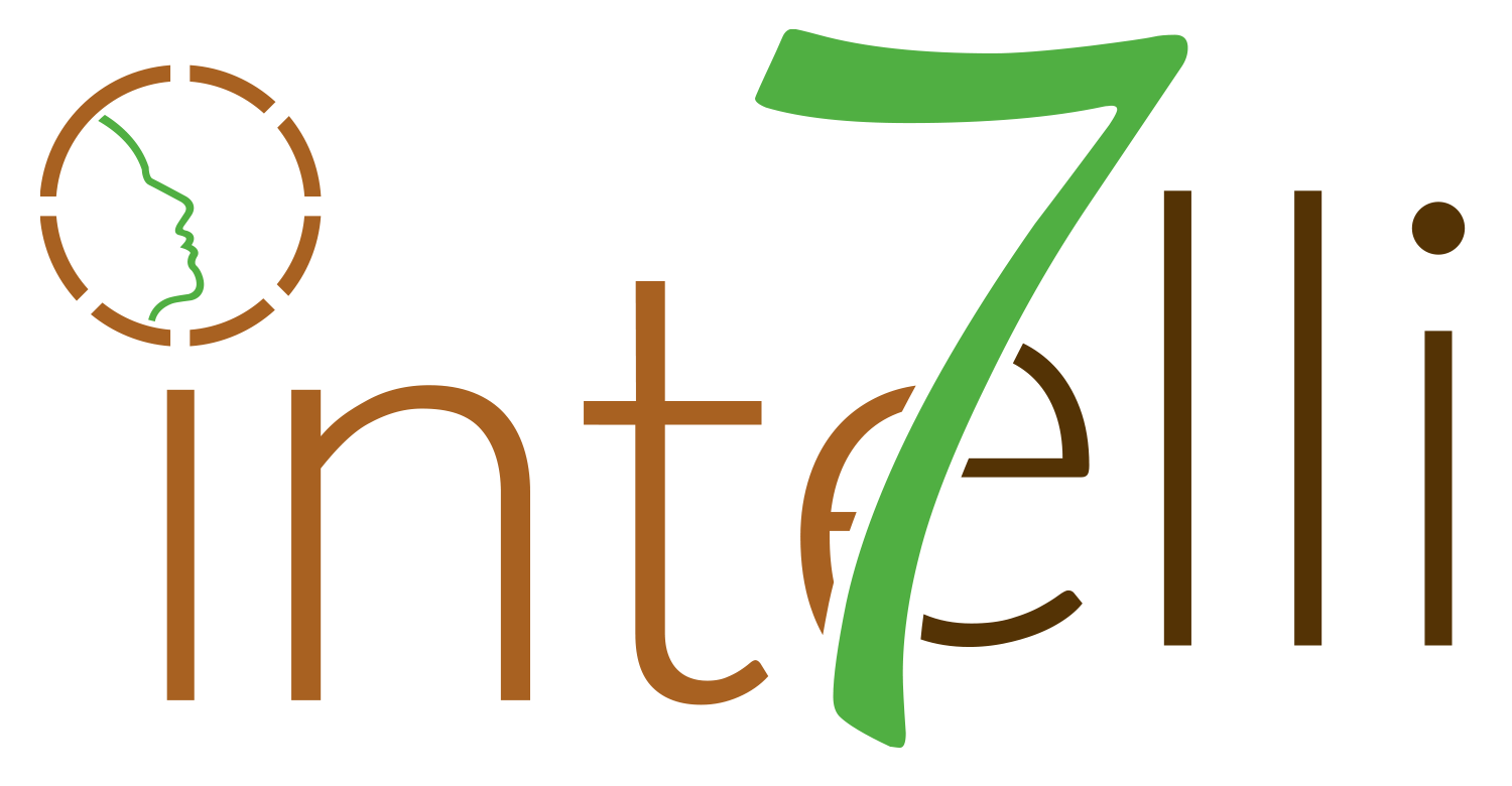 intelli7 logo